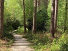 Queen Mabs Woodland Bothy in the Yorkshire Wolds near Sancton, Yorkshire, England
